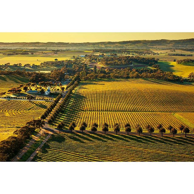 Barossa Valley