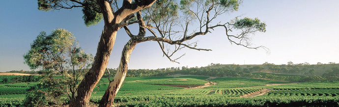 Clare Valley